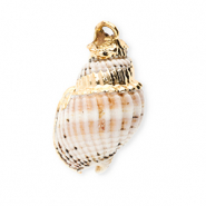 Schelp hanger special whelk Off white-gold