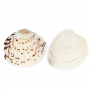 Schelp hanger special cockles Off white-brown