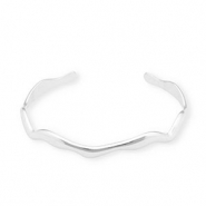 Armbanden van Stainless steel Roestvrij staal (RVS) bangle Silver