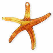 Acryl hangers starfish Amber brown