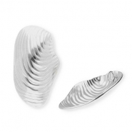 Bedels van Stainless steel Roestvrij staal (RVS) shell Silver