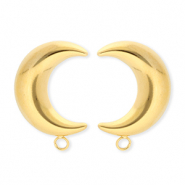 BY31® Benodigdheden van Stainless steel Roestvrij staal (RVS) oorbellen / oorstekers moon with loop Gold