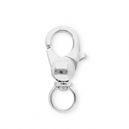 Benodigdheden van Stainless steel Roestvrij staal (RVS) karabijnslot Silver