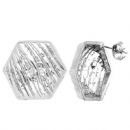 Benodigdheden van Stainless steel Roestvrij staal (RVS) oorbellen / oorsteker hexagon with loop Silver