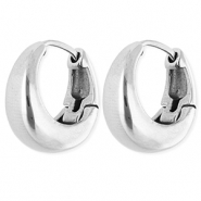 Oorbellen van Stainless steel Roestvrij staal (RVS) creolen Silver