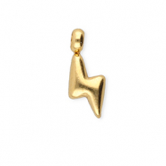 BY31® Bedels van Stainless steel Roestvrij staal (RVS) thunder Gold