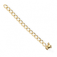 BY31® Benodigdheden van Stainless steel Roestvrij staal (RVS) verlengketting set crab Gold