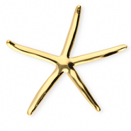 Statement broches van Stainless steel Roestvrij staal (RVS) starfish Gold