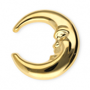 Statement broches van Stainless steel Roestvrij staal (RVS) moon Gold