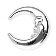 Statement broches van Stainless steel Roestvrij staal (RVS) moon Silver