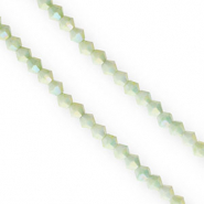 Top bicone facet kralen 4mm Multicolour green-AB coating