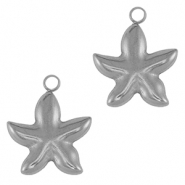 Bedels van Stainless steel Roestvrij staal (RVS) starfish Silver