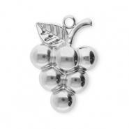 Bedels van Stainless steel Roestvrij staal (RVS) grapes Silver