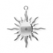 Bedels van Stainless steel Roestvrij staal (RVS) sun Silver