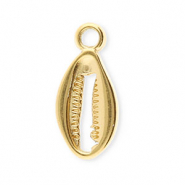 Bedels van Stainless steel Roestvrij staal (RVS) cowrie Gold