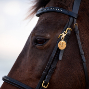 Inspiratiesets Dierendag!