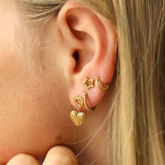 Nieuw 24-07-2024 Nieuwe stainless steel oorbellen