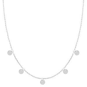 Kettingen van Stainless steel Roestvrij staal (RVS) muntjes Zilver