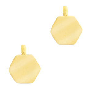 Bedels van Stainless steel Roestvrij staal (RVS) hexagon Goud