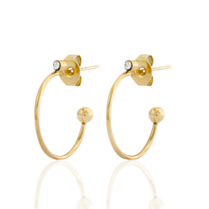 Oorbellen van Stainless steel Roestvrij staal (RVS) oorstekers creolen Goud