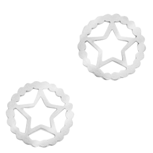 Bedels van Stainless steel Roestvrij staal (RVS) tussenstuk star Zilver