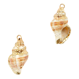 Schelp hanger special Wulk Creamy light brown-gold