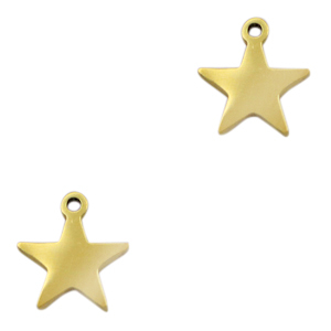 Bedels van Stainless steel Roestvrij staal (RVS) star Goud