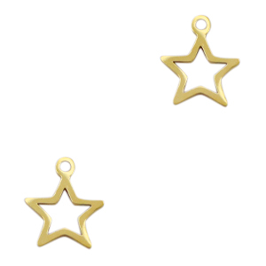 Bedels van Stainless steel Roestvrij staal (RVS) star Goud