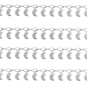Benodigdheden van Stainless steel Roestvrij staal (RVS) jasseron moon Zilver