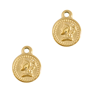 Bedels van Stainless steel Roestvrij staal (RVS) coin Goud