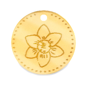 Bedels Plexx 20mm Birth flower December-Narcissus Gold