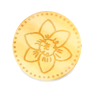 Cabochons Plexx 20mm Birth flower December-Narcissus Gold