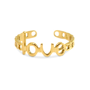 Ringen van Stainless steel Roestvrij staal (RVS) Love Goud