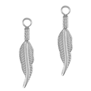 Bedels van Stainless steel Roestvrij staal (RVS) feather Zilver