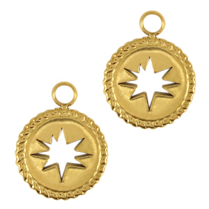 Bedels van Stainless steel Roestvrij staal (RVS) star Goud