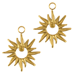 Bedels van Stainless steel Roestvrij staal (RVS) star Goud