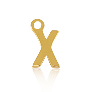 Bedels van Stainless steel Roestvrij staal (RVS) initial X Gold