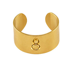 Benodigdheden van Stainless steel Roestvrij staal (RVS) ringen met oogje Gold