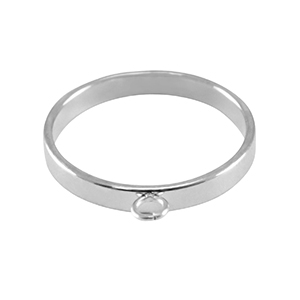 Benodigdheden van Stainless steel Roestvrij staal (RVS) ringen met oogje Silver