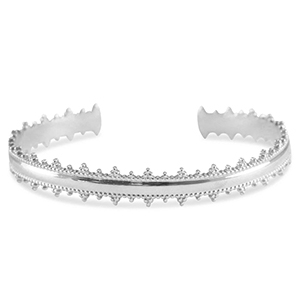 Armbanden van Stainless steel Roestvrij staal (RVS) bangle Silver