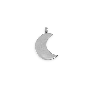 Bedels van Stainless steel Roestvrij staal (RVS) La Luna moon Silver
