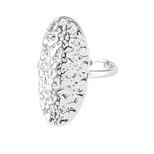 Ringen van Stainless steel Roestvrij staal (RVS) oval Zilver