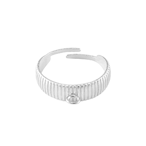 Ringen van Stainless steel Roestvrij staal (RVS)  met oogje Zilver