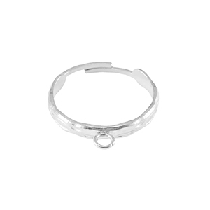 Ringen van Stainless steel Roestvrij staal (RVS)  met oogje Zilver