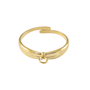 Ringen van Stainless steel Roestvrij staal (RVS)  met oogje Goud