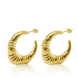 Oorbellen / oorstekers van Stainless steel Roestvrij staal (RVS) creolen oval Goud