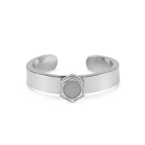 Birthstone ring met setting Stainless Steel (RVS) voor SS16 flat back Silver