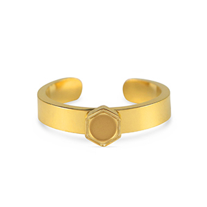 Birthstone ring met setting Stainless Steel (RVS) voor SS16 flat back Gold