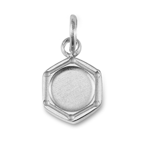 Birthstone bedel met setting Stainless Steel (RVS) voor SS16 flat back Silver