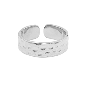 Ringen van Stainless steel Roestvrij staal (RVS) Zilver